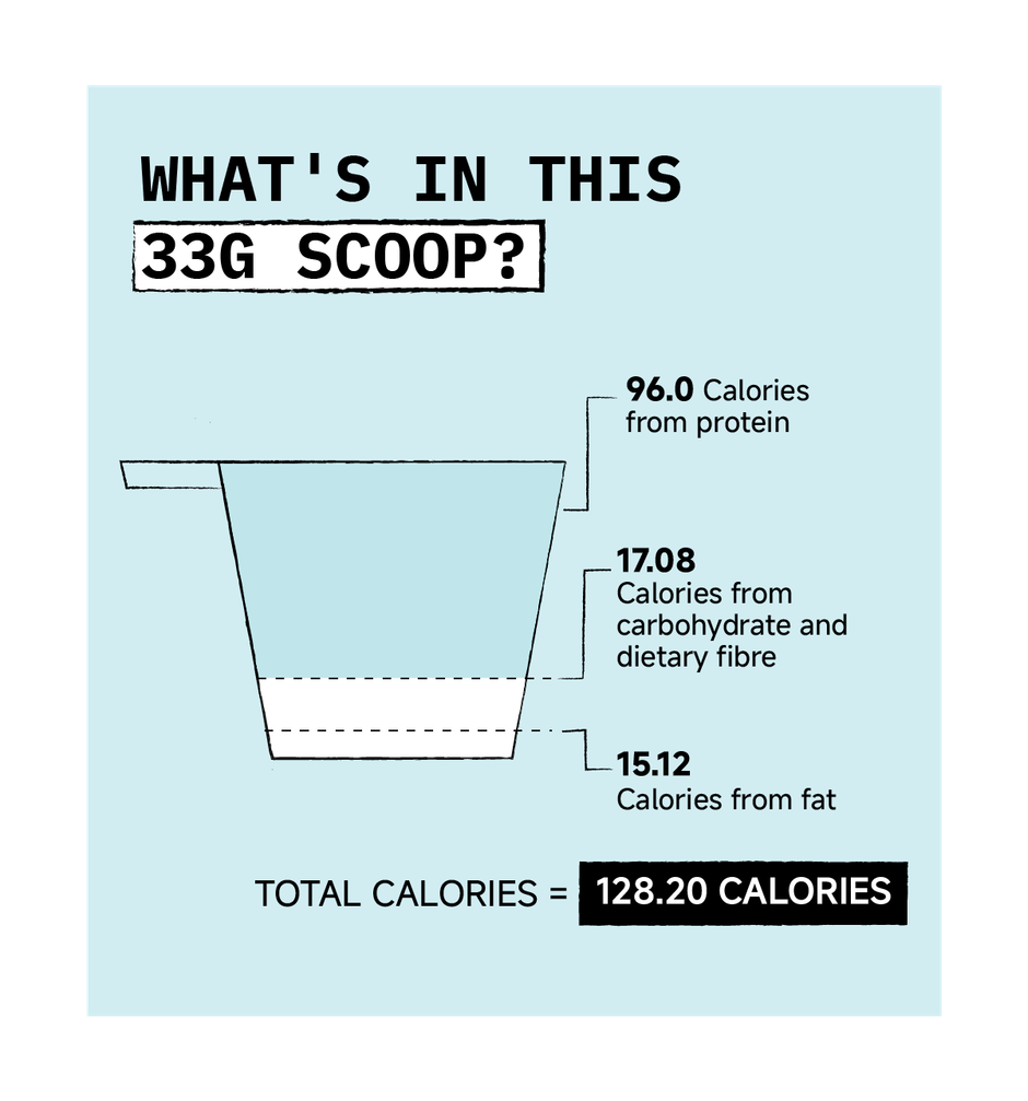 Only What's Needed 24g Whey Protein Concentrate | Cocoa Edition