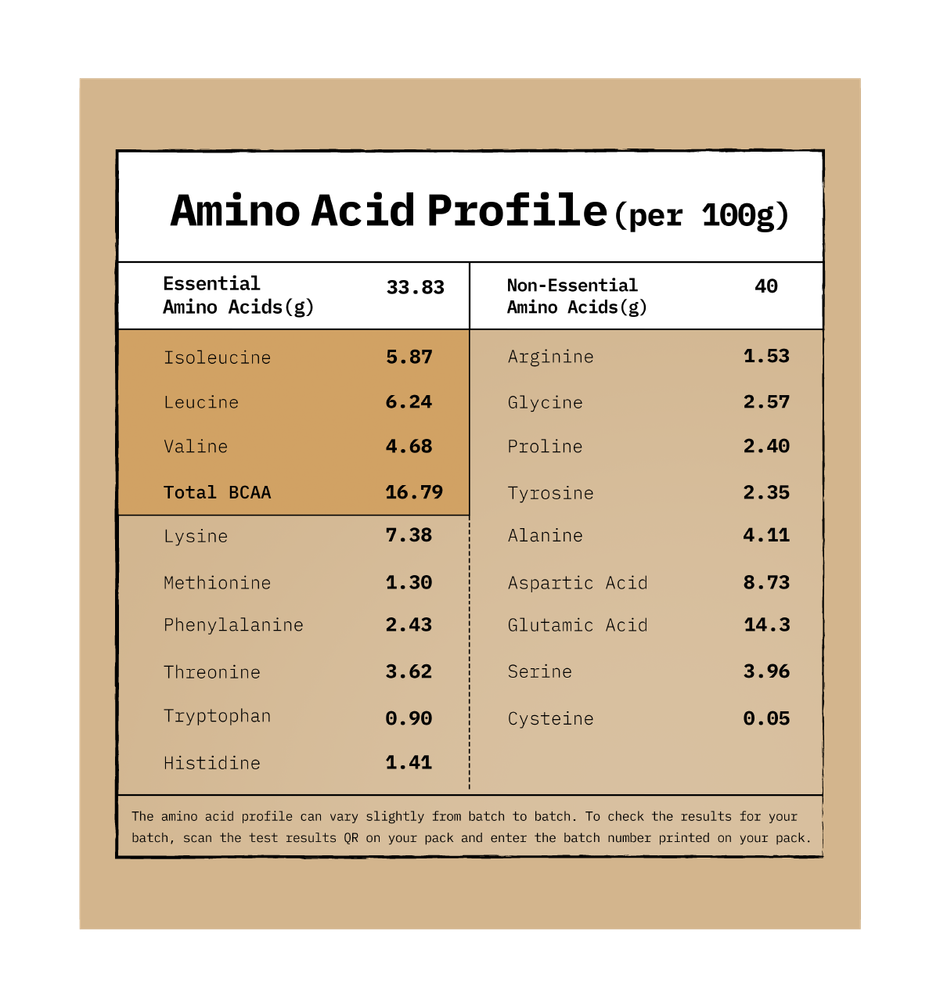 Only What's Needed 24g Whey Protein Concentrate | Coffee Edition