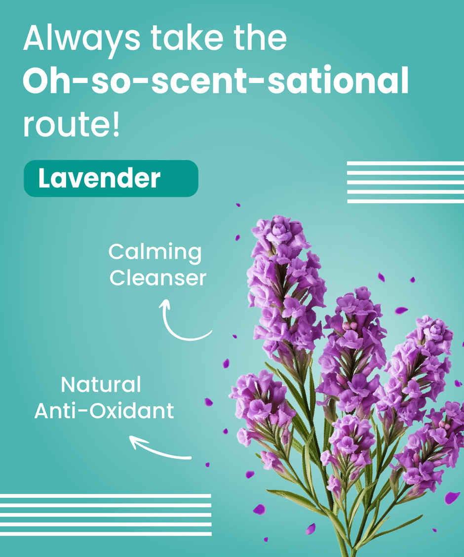 Bark Out Loud Natural Tick And Flea Spray | For Dogs And Cats (200ml) & Bark Out Loud Natural Tick And Flea Shampoo | For Cats & Dogs (200ml) Combo