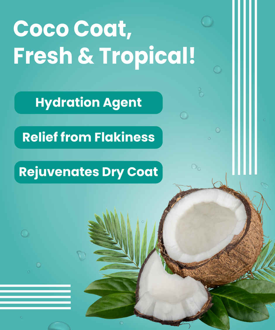 Bark Out Loud Dog Serum for Shiny Coat | Frizz Control | Tangle-Free Coat