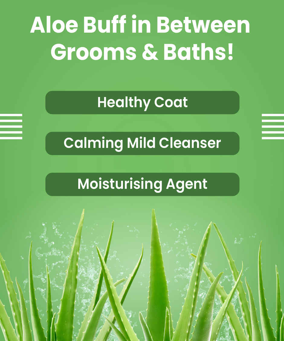 Bark Out Loud Dog Waterless Shampoo | Dry Shampoo for Dogs