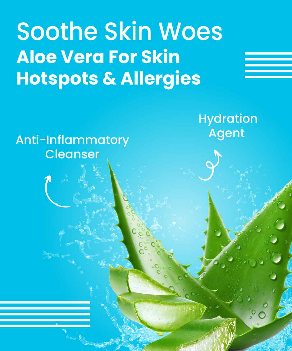 Bark Out Loud Dog Leave-In Conditioner for Soft, Shiny | Tangle-Free Coat with Frizz Control