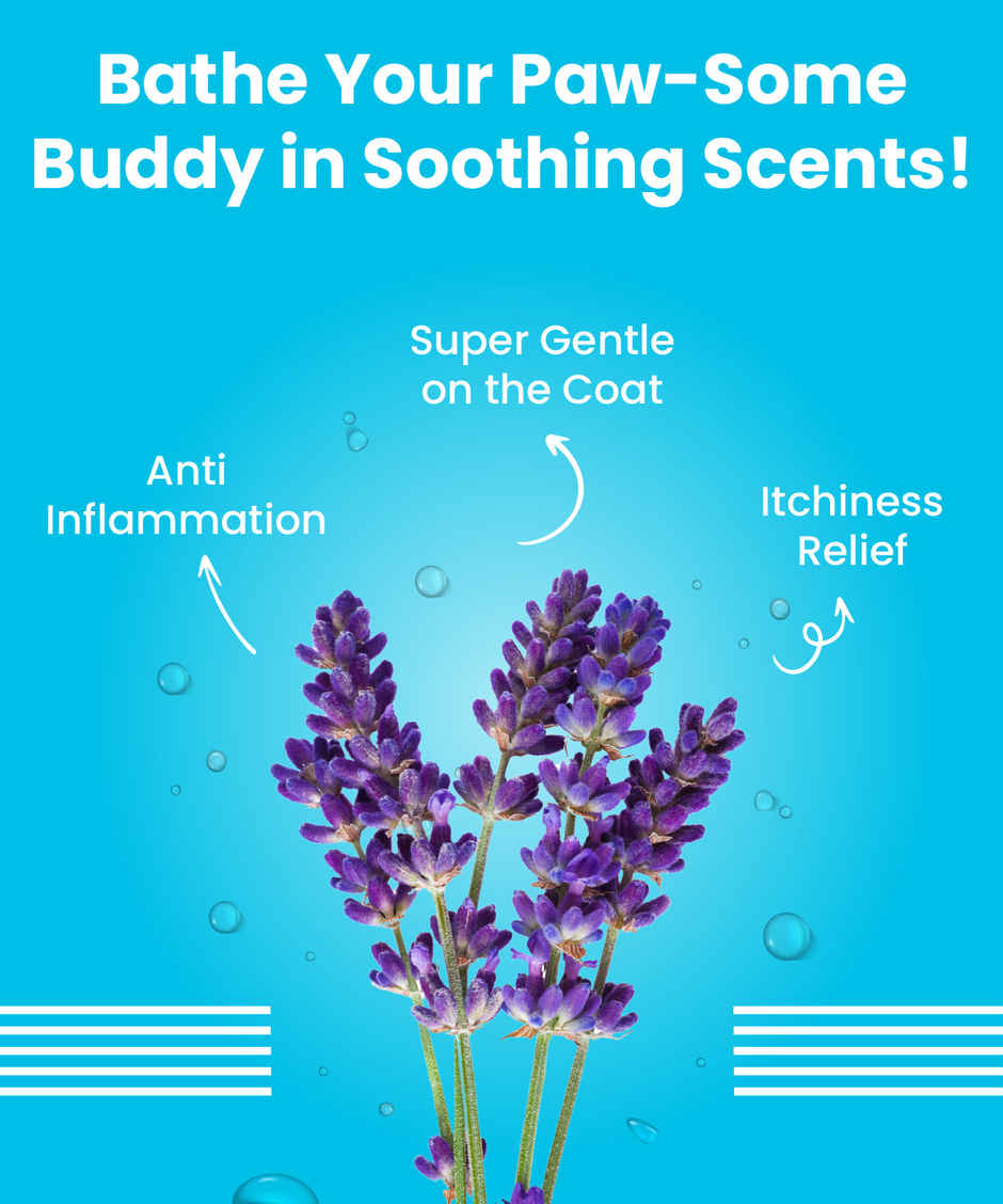 Bark Out Loud Dog Shampoo and Conditioner | For Frizz and Tangle Control