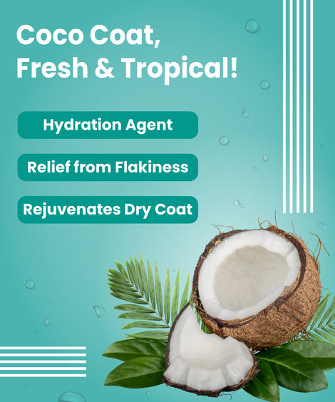 Bark Out Loud Dog Serum for Shiny Coat | Frizz Control | Tangle-Free Coat