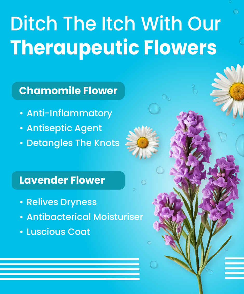 Bark Out Loud Dog Leave-In Conditioner for Soft, Shiny | Tangle-Free Coat with Frizz Control