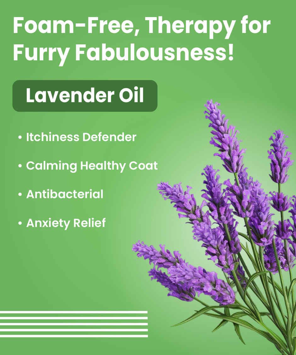 Bark Out Loud Dog Waterless Shampoo | Dry Shampoo for Dogs