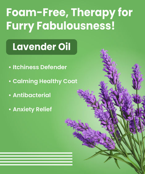 Bark Out Loud Dog Waterless Shampoo | Dry Shampoo for Dogs