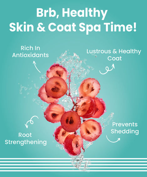 Bark Out Loud Dog Serum for Shiny Coat | Frizz Control | Tangle-Free Coat