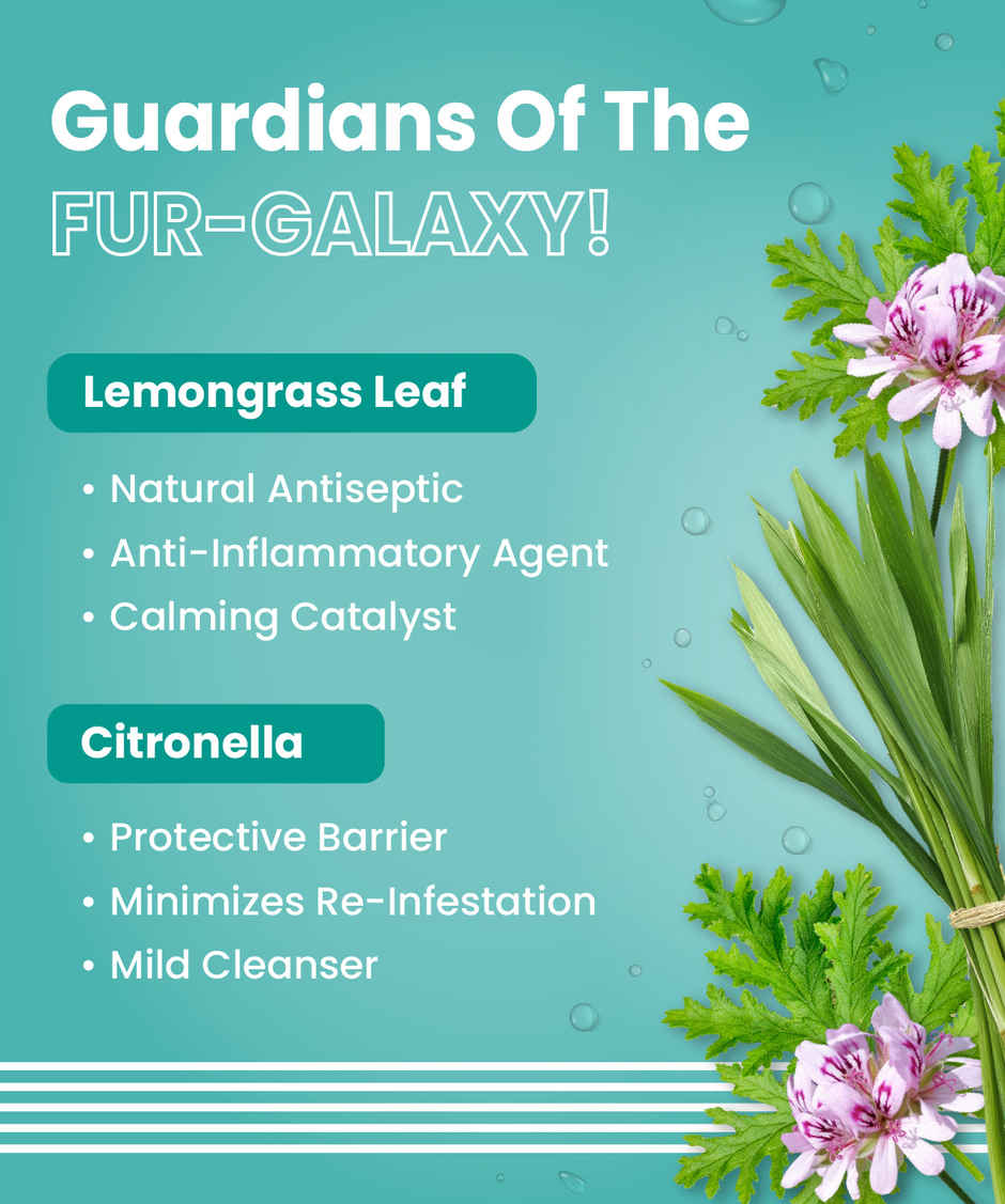 Bark Out Loud Natural Tick and Flea Shampoo | For Cats & Dogs