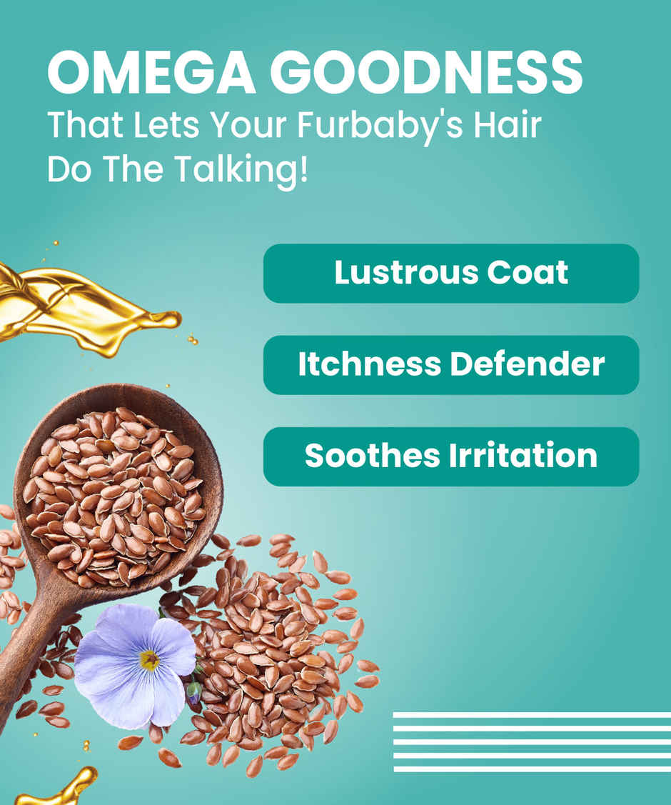 Bark Out Loud Dog Serum for Shiny Coat | Frizz Control | Tangle-Free Coat