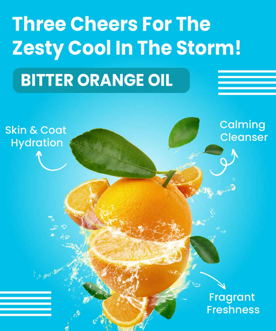 Bark Out Loud Dog Leave-In Conditioner for Soft, Shiny | Tangle-Free Coat with Frizz Control