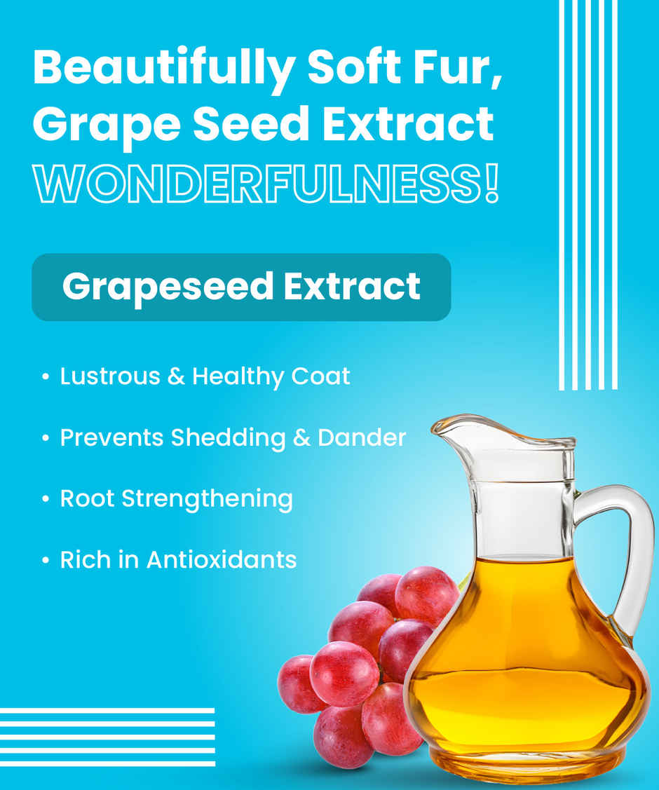 Bark Out Loud Dog Shampoo and Conditioner | For Frizz and Tangle Control