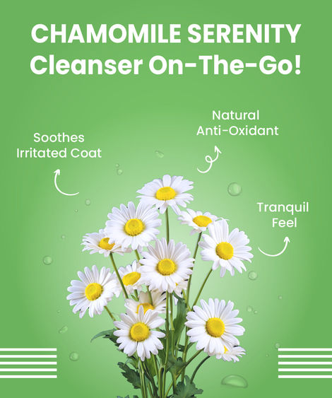 Bark Out Loud Dog Waterless Shampoo | Dry Shampoo for Dogs