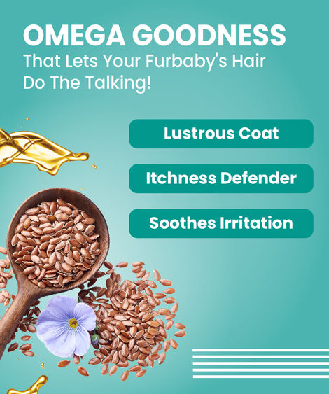 Bark Out Loud Dog Serum for Shiny Coat | Frizz Control | Tangle-Free Coat