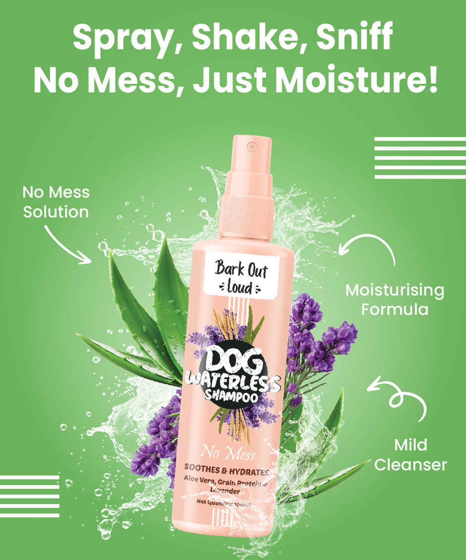Bark Out Loud Dog Waterless Shampoo | Dry Shampoo for Dogs