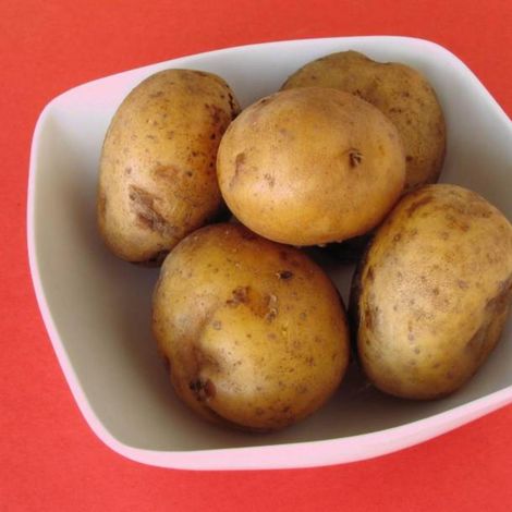 Boiled Potato