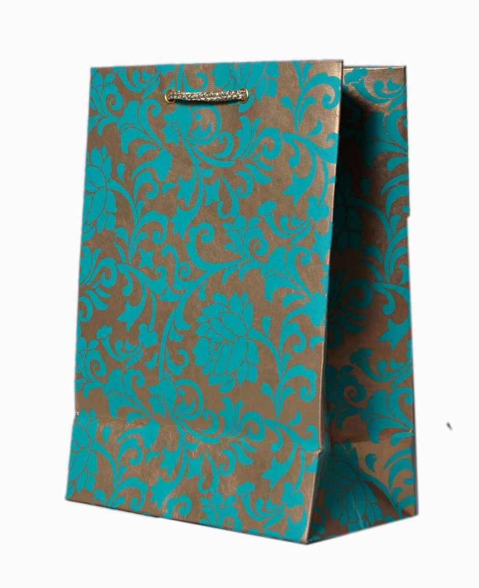 Printed Party Gifting Paper Bag (Colour May Vary)