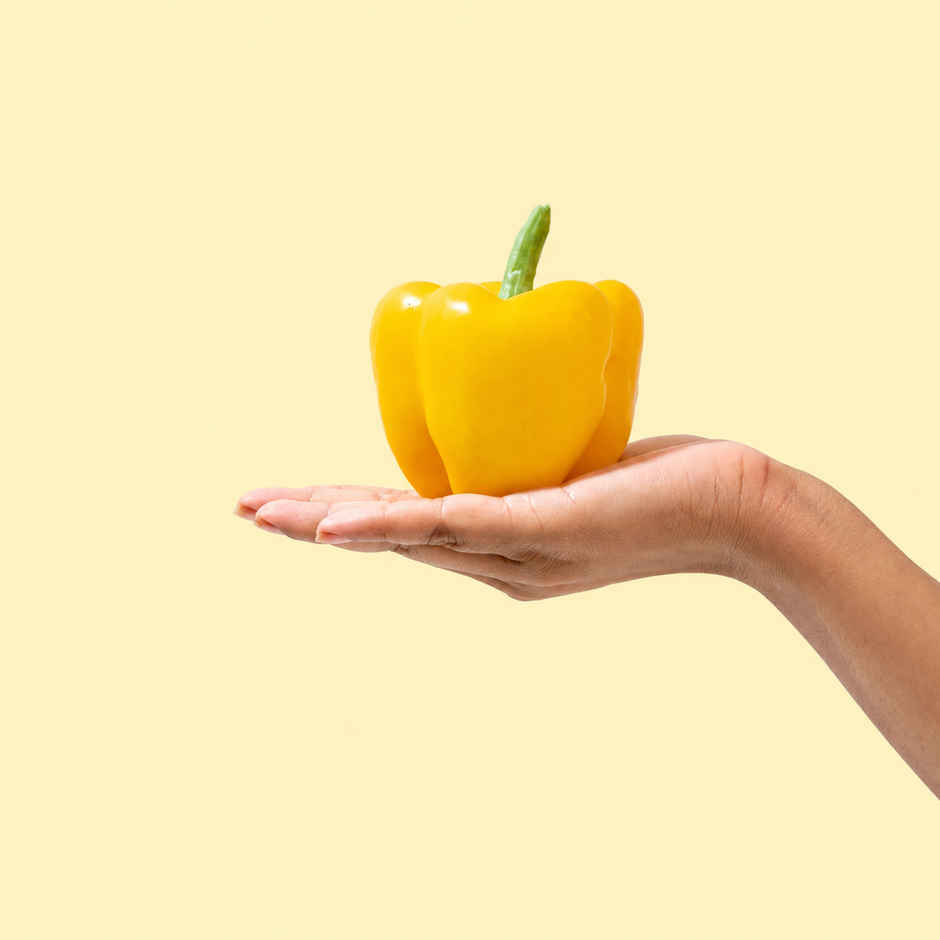 Bloom Capsicum Yellow