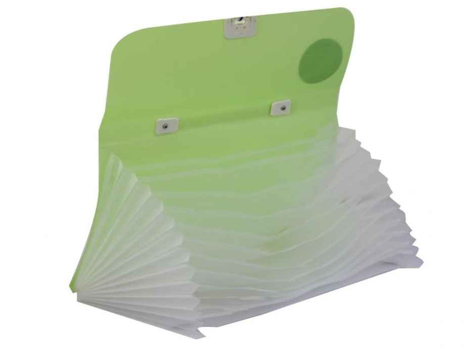 Chrome Expanding File Bag (Colour May Vary)