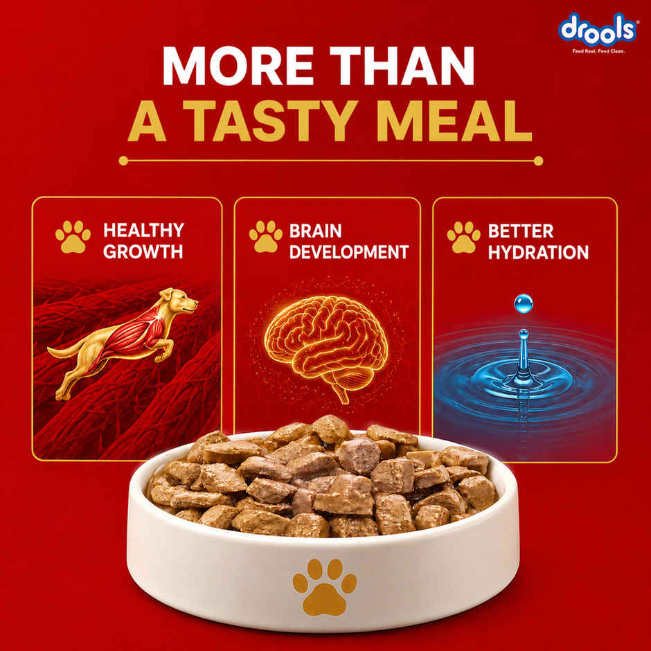Drools Puppy Wet Dog Food - Real Chicken And Chicken Liver Chunks In Gravy