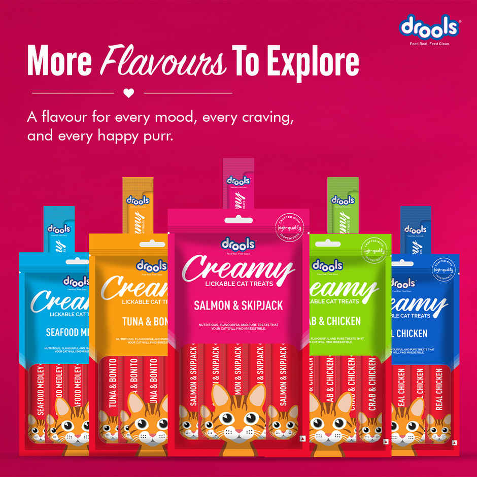 Drools Creamy Lickable Cat Treat - Salmon & Skipjack