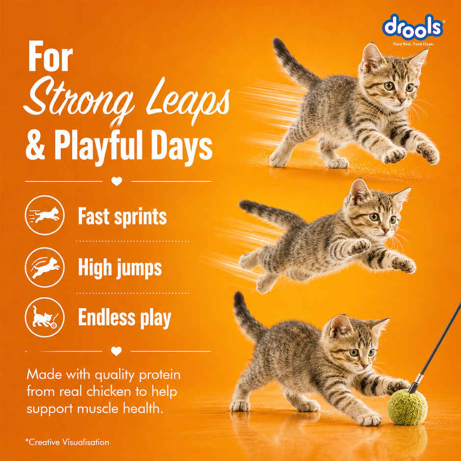 Drools Creamy Lickable Cat Treat - Tuna & Bonito