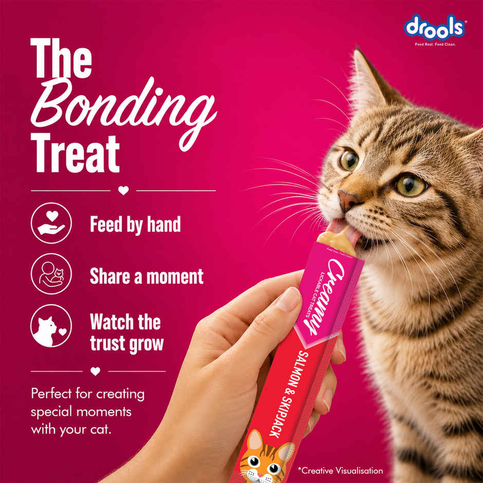 Drools Creamy Lickable Cat Treat - Salmon & Skipjack