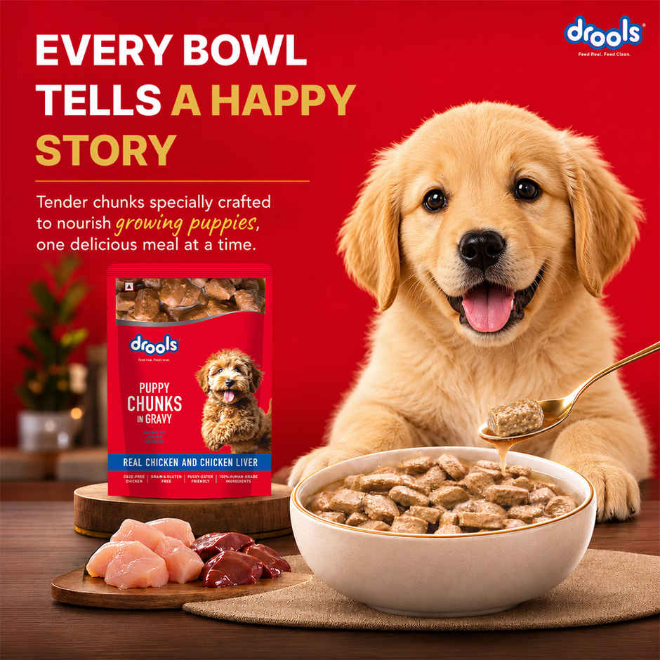 Drools Puppy Wet Dog Food - Real Chicken And Chicken Liver Chunks In Gravy