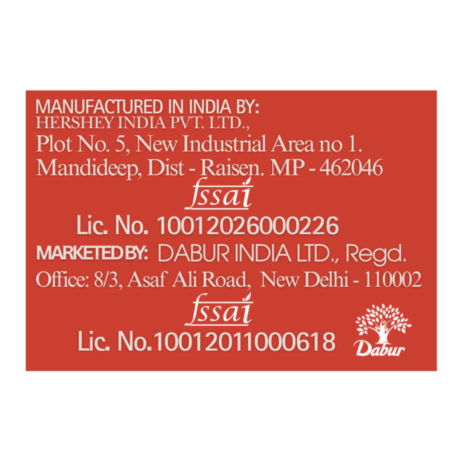 Dabur Hommade Tomato Puree