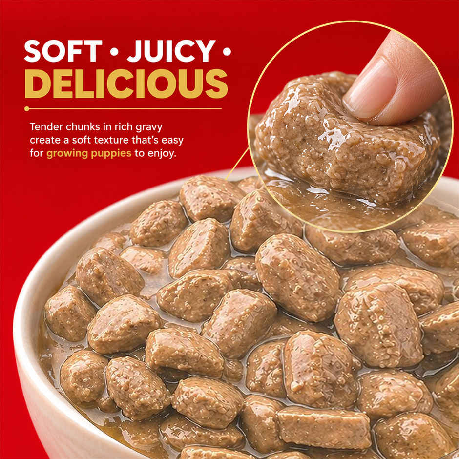 Drools Puppy Wet Dog Food - Real Chicken And Chicken Liver Chunks In Gravy
