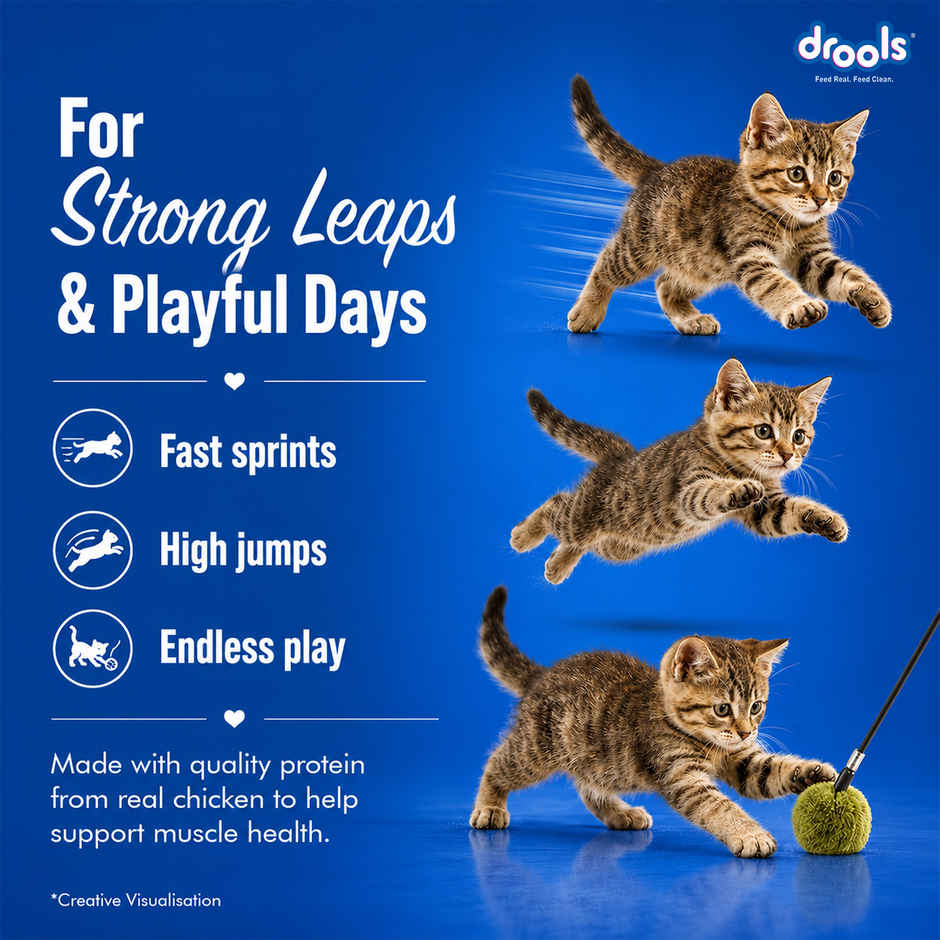 Drools Creamy Lickable Cat Treat - Real Chicken