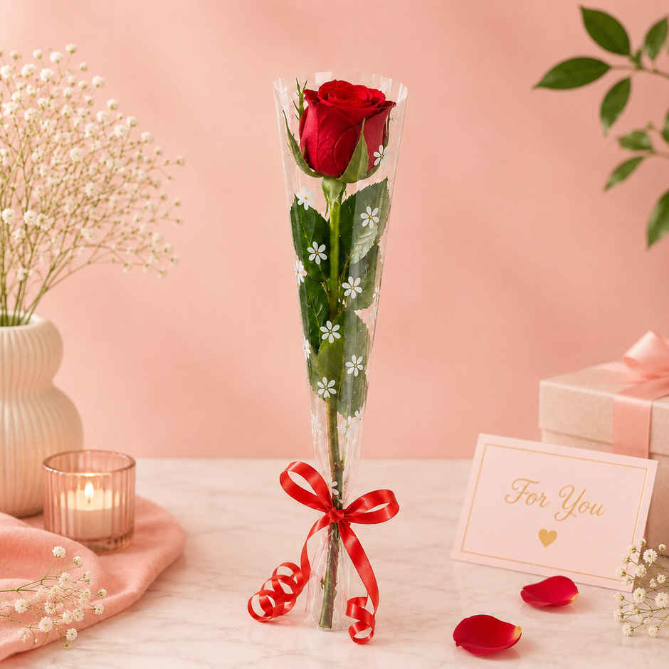 Single Red Rose | Gifting