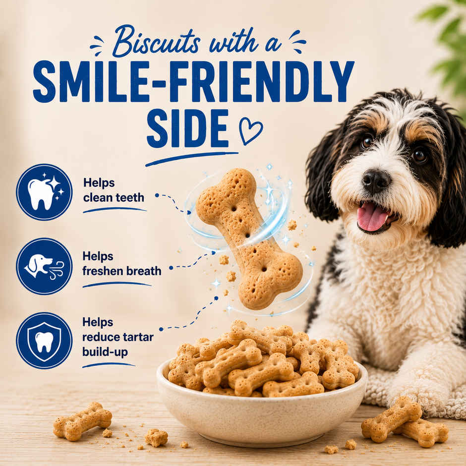 Purepet Milk Flavour Dog Biscuit Treats Jar