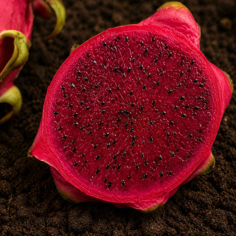 Organically Grown Dragon Fruit Red