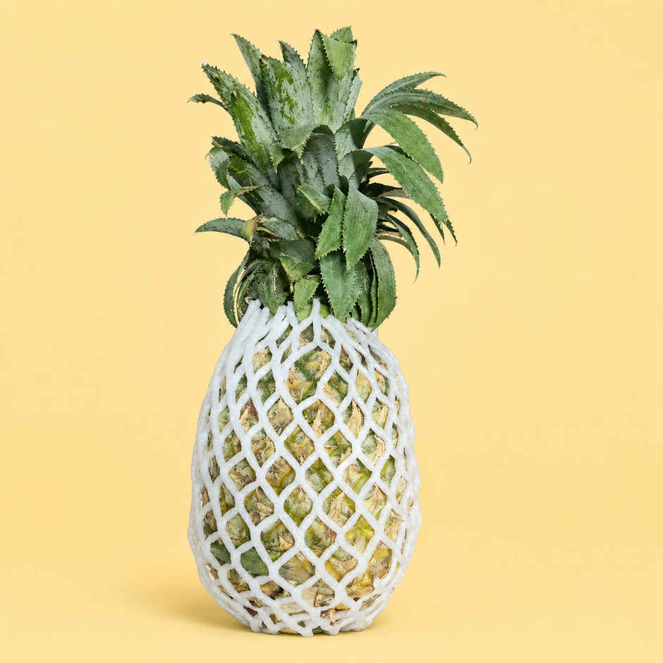 Bloom Pineapple