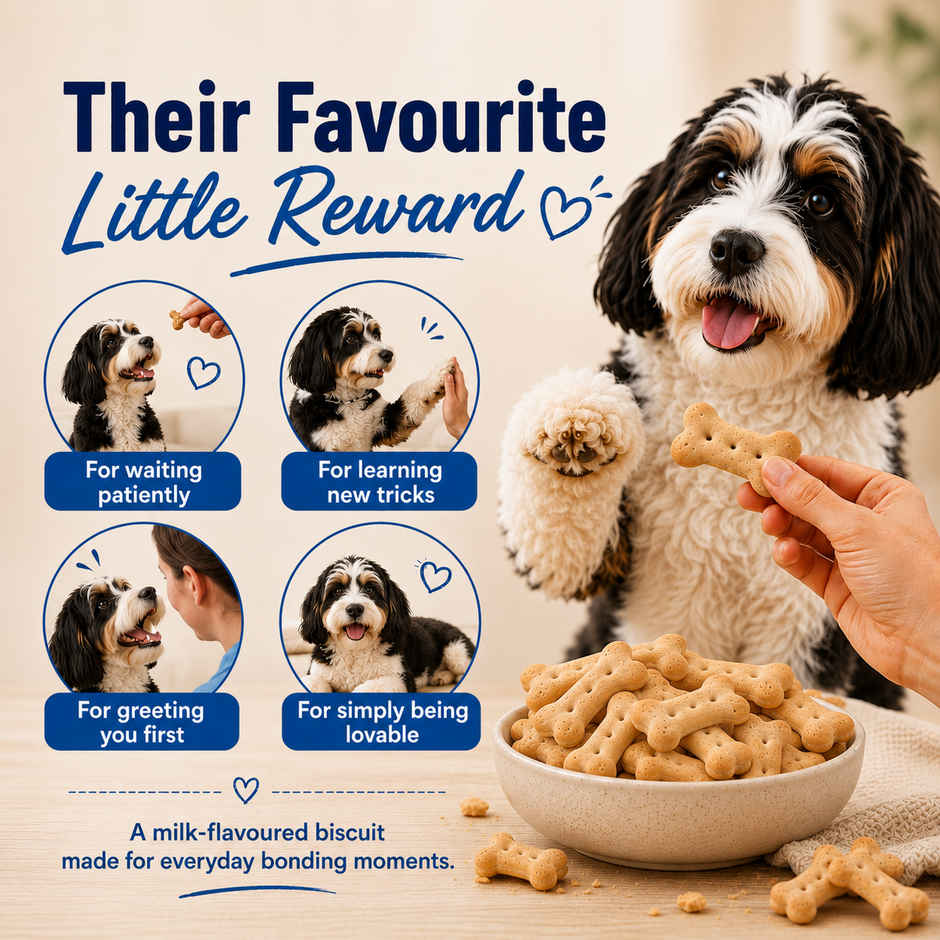 Purepet Milk Flavour Dog Biscuit Treats Jar