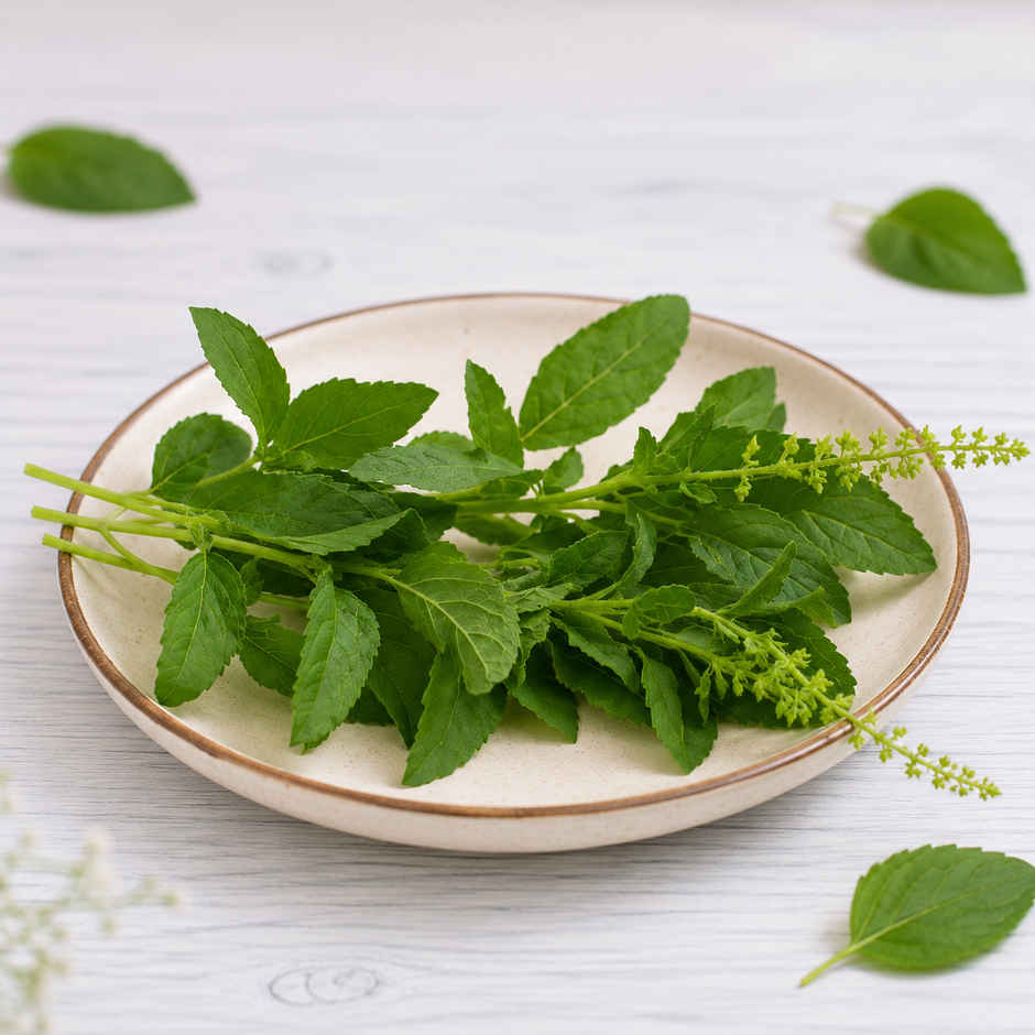Tulsi Leaves
