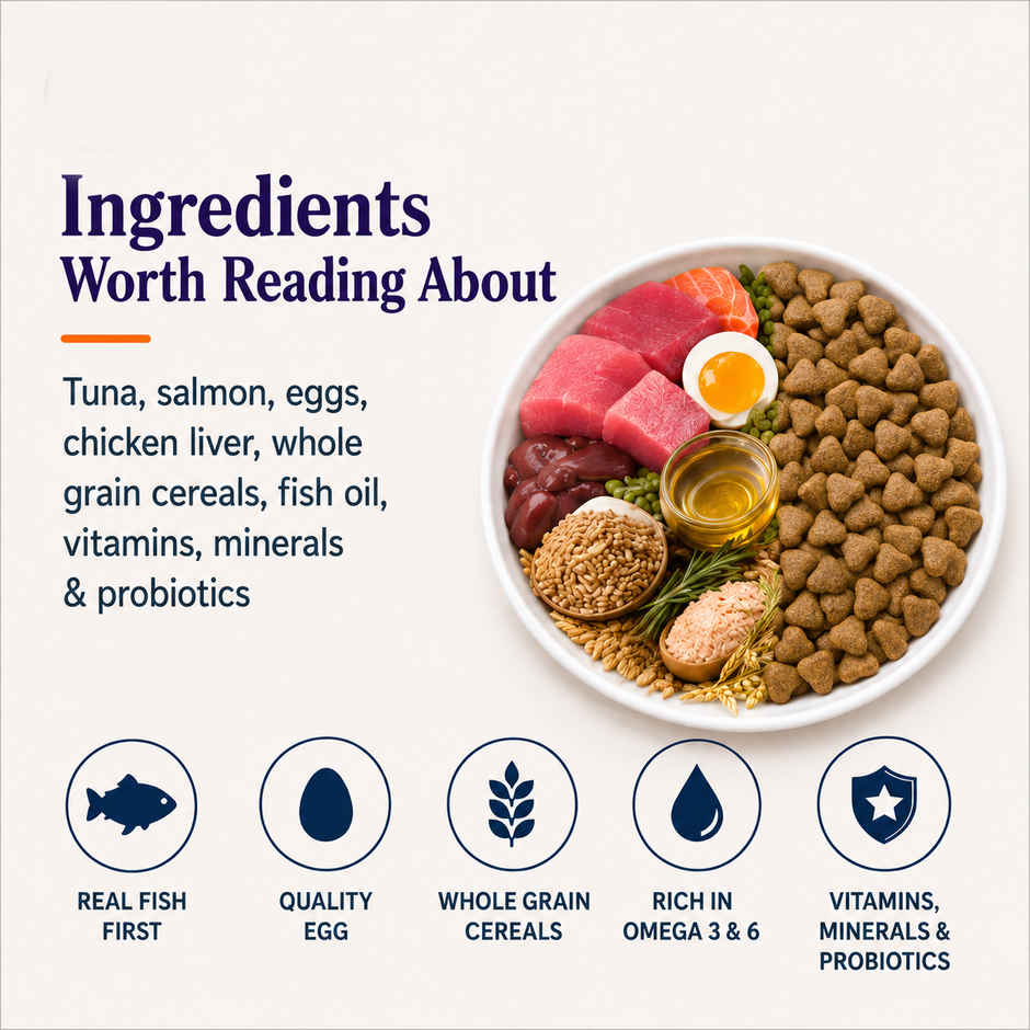 Maxi Tuna | Salmon Dry Cat FOOD