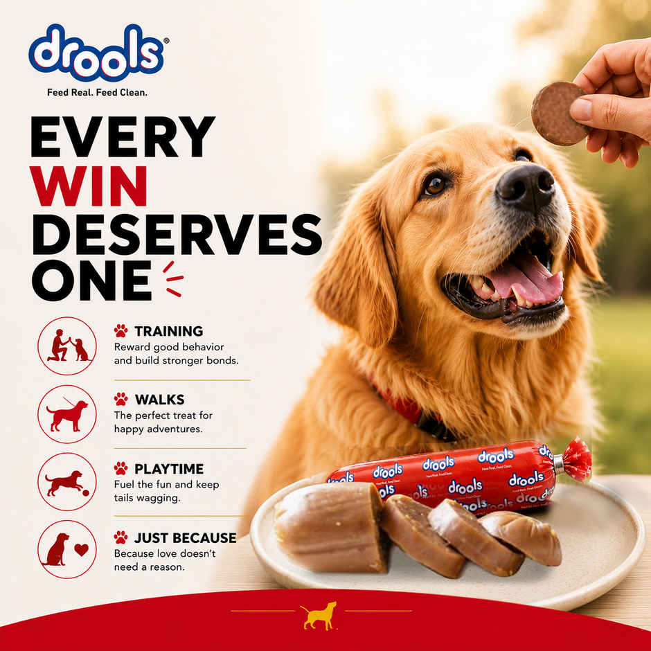 Drools 100% Real Chicken Sausage Dog Treat - Pack of 6