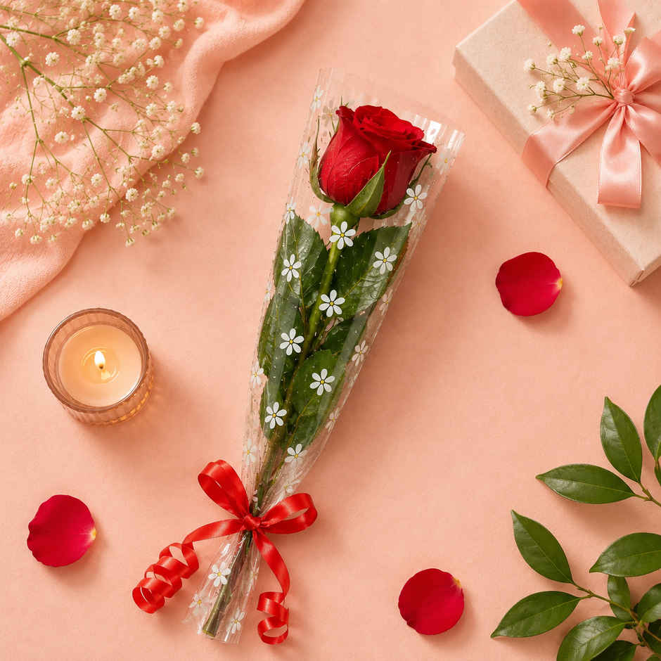 Single Red Rose | Gifting