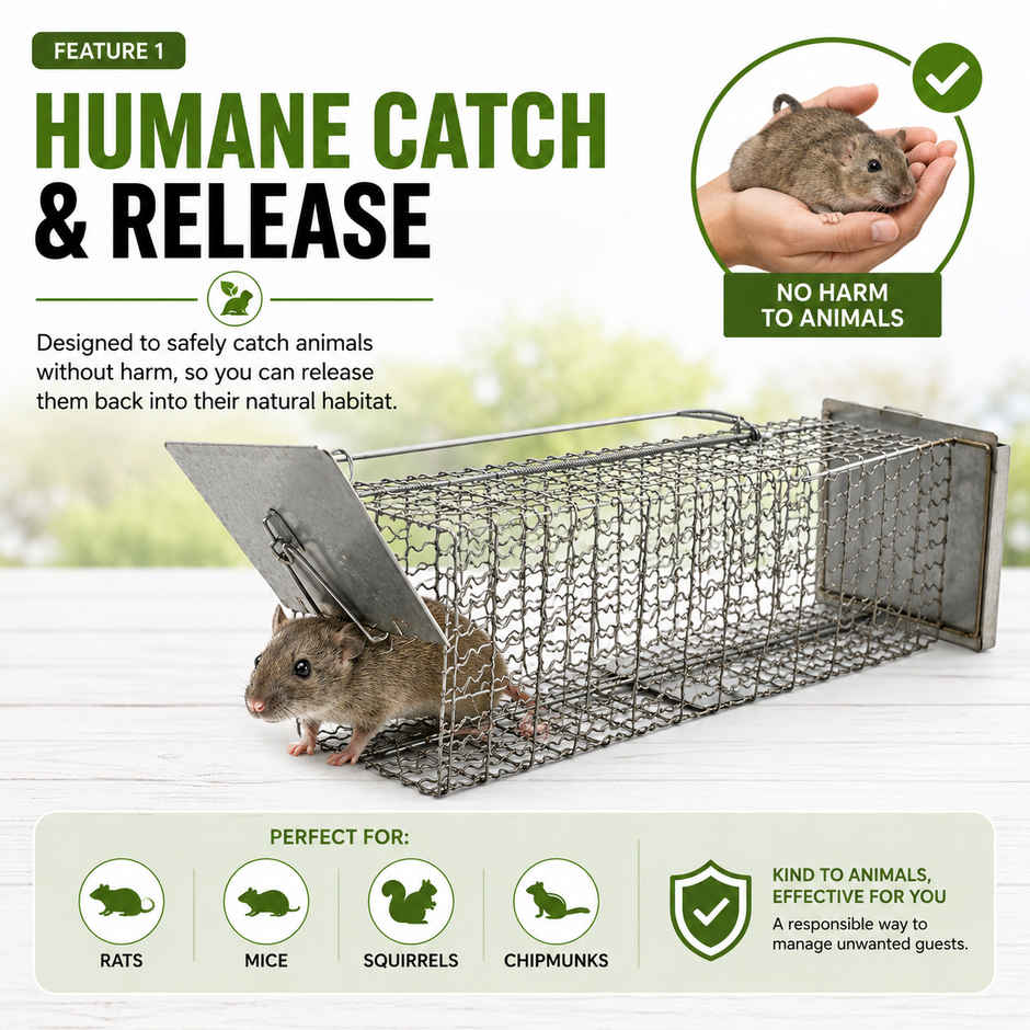 Jags Rat Cage