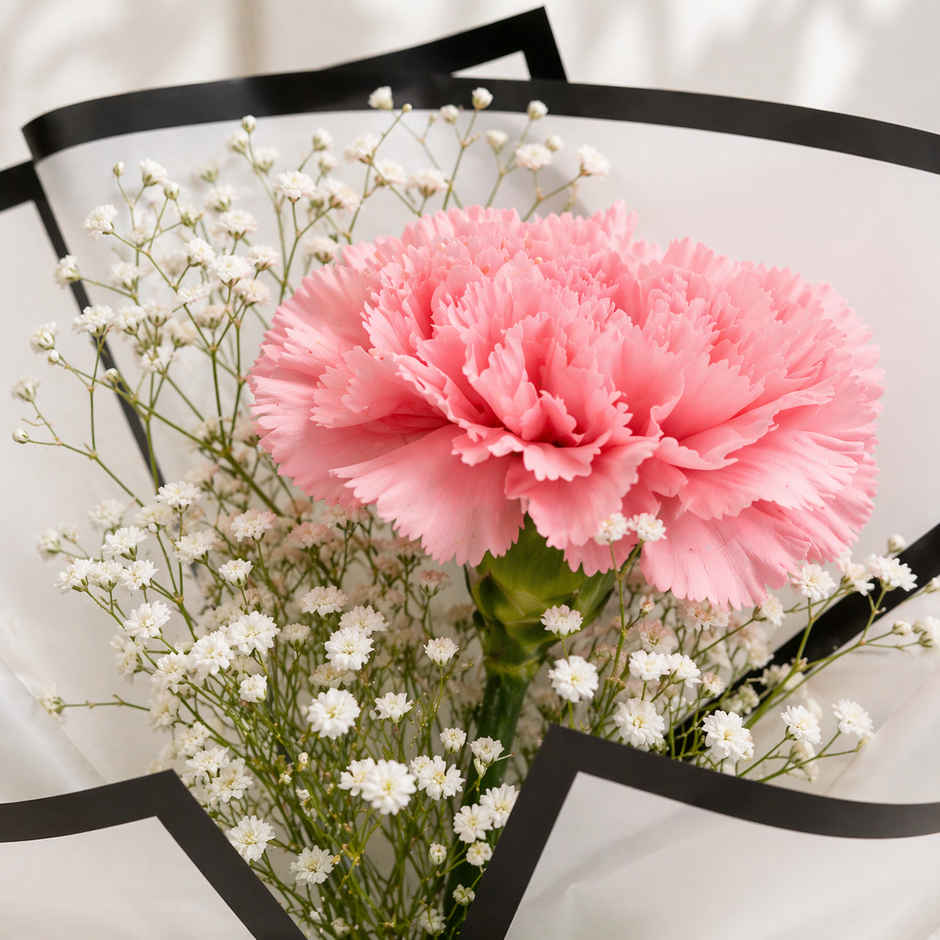 FNP Single Pink Carnation Bouquet