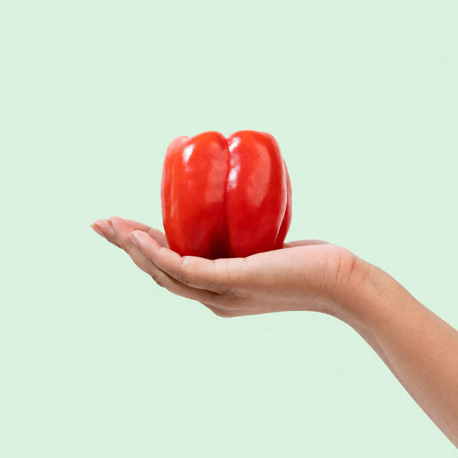 Bloom Capsicum Red
