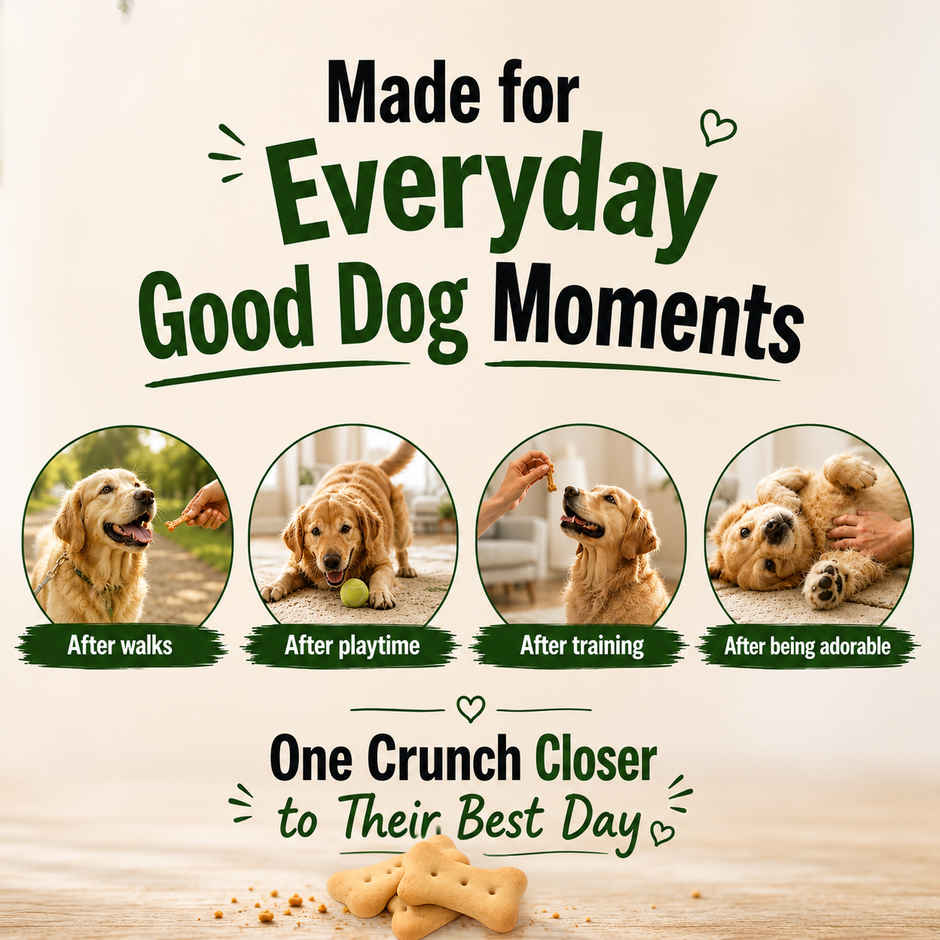 Purepet 100% Vegeterian Dog Biscuit Treats Jar