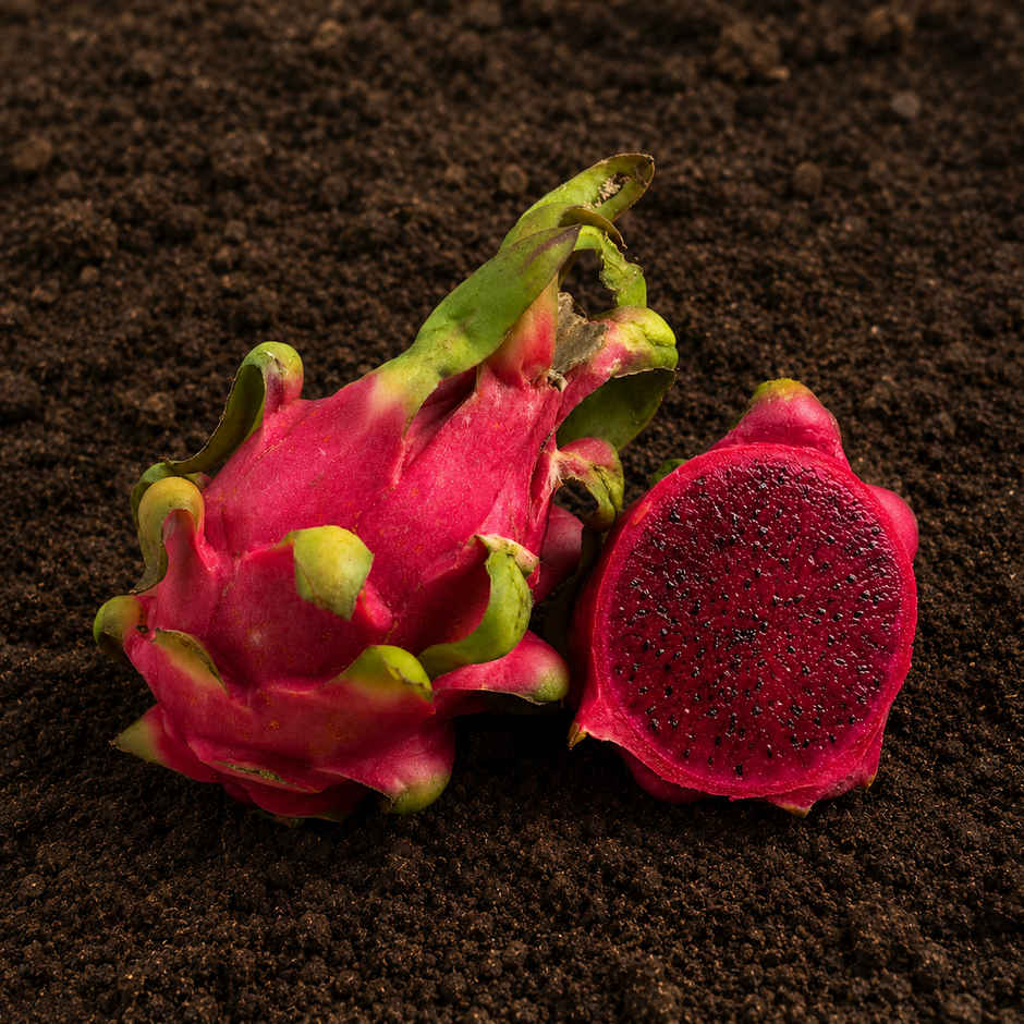 Organically Grown Dragon Fruit Red