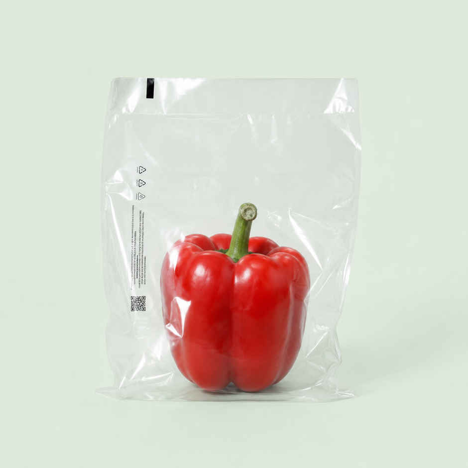 Bloom Capsicum Red