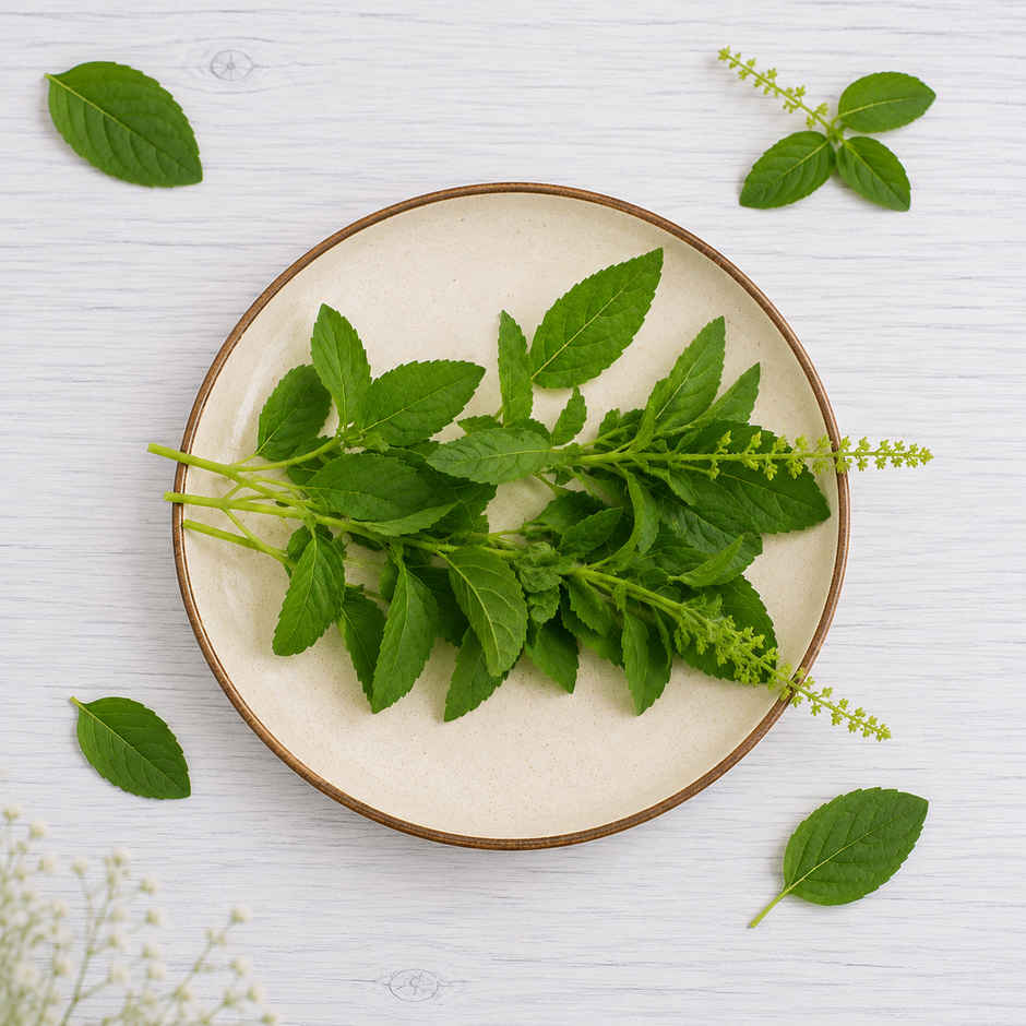 Tulsi Leaves