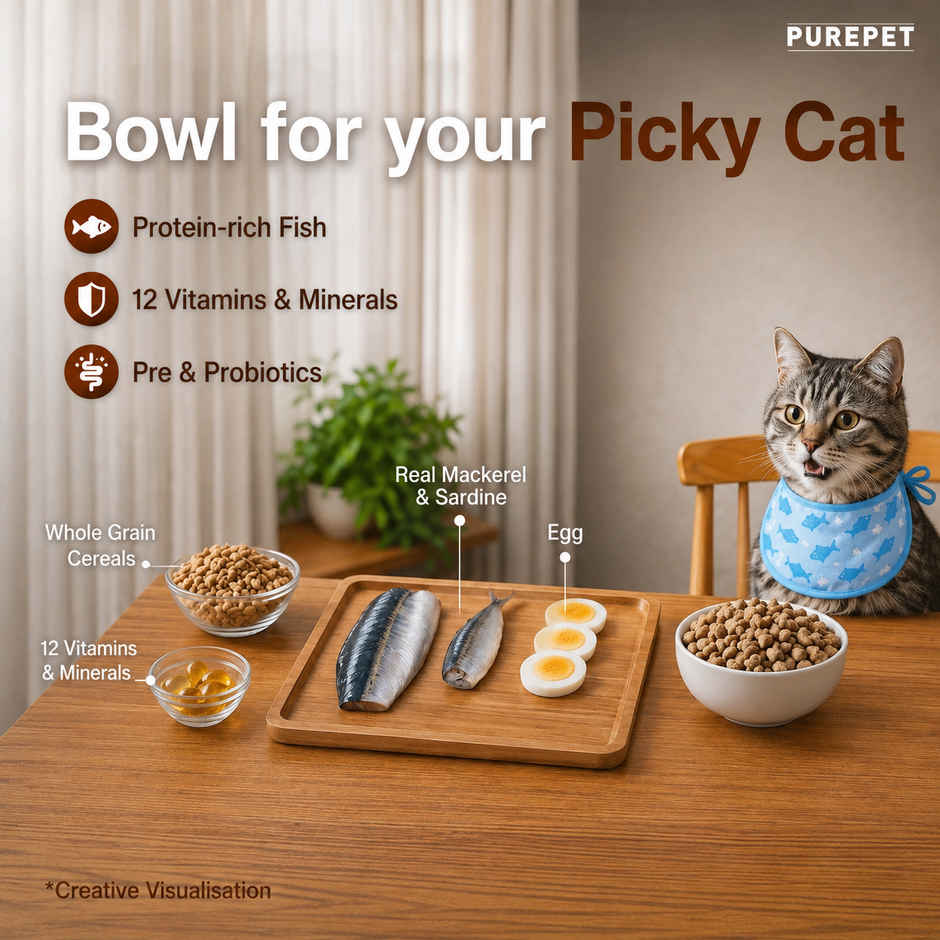 Purepet Mackerel Adult Dry Cat Food