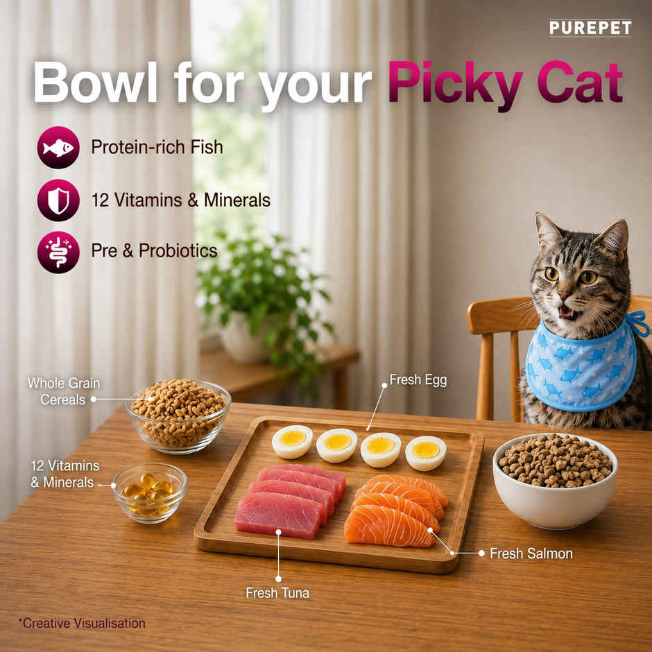 Purepet Tuna & Salmon Adult Dry Cat Food