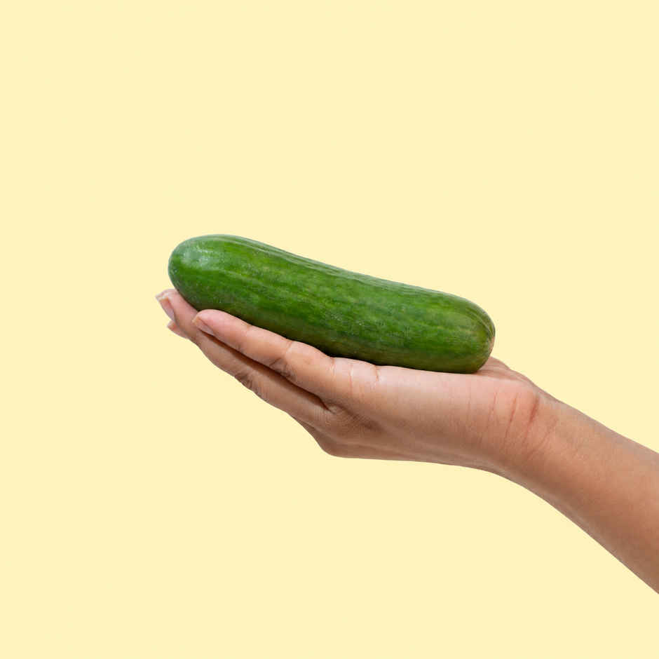 Bloom Cucumber English